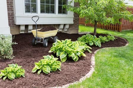 How Poor Landscaping Impacts Your Business Image