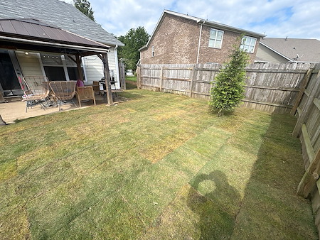 When Is the Best Time to Aerate and Seed a Lawn in Nashville?