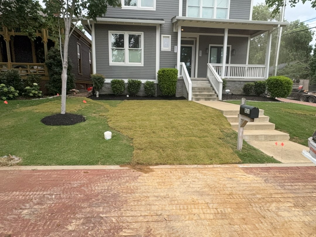 Rain Garden Removal, Drainage Correction & Bermuda Sod Installation in Nashville, TN